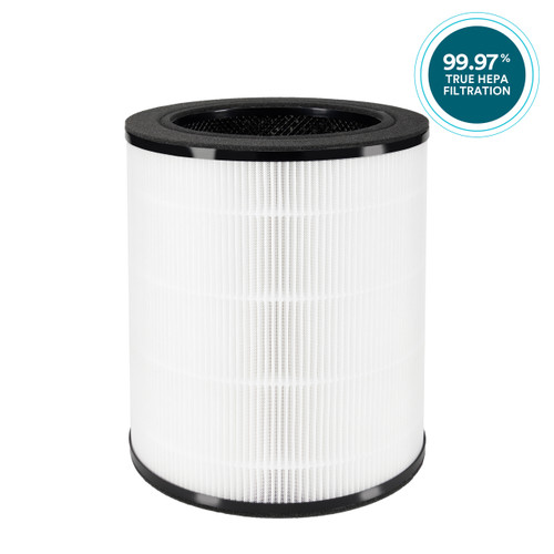 Replacement 3-in-1 True HEPA Replacement Filter for AP-T100 filters out 99% of particles