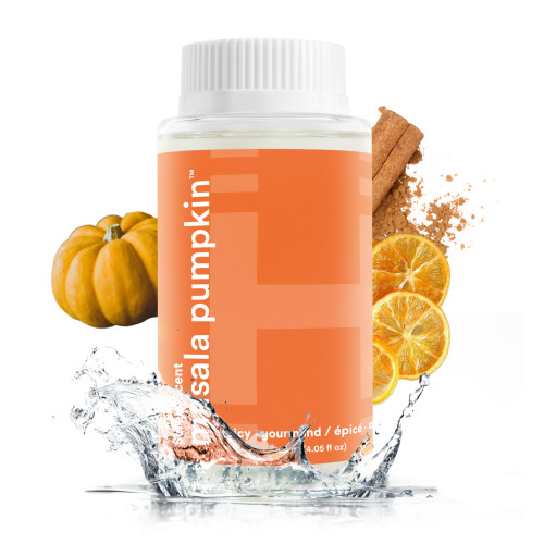 Front view Image of product Homedics® SereneScent™ Masala Pumpkin