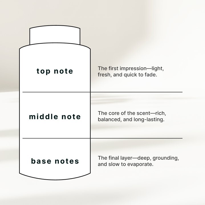 Fragrance Notes
