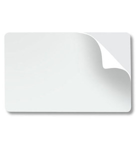 Zebra SECURITY-HOLOGRAM-CARDS, Badge