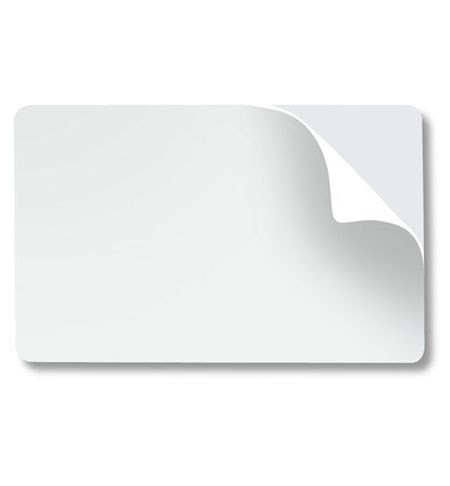 Zebra SECURITY-HOLOGRAM-CARDS, Badge