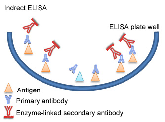 direct elisa