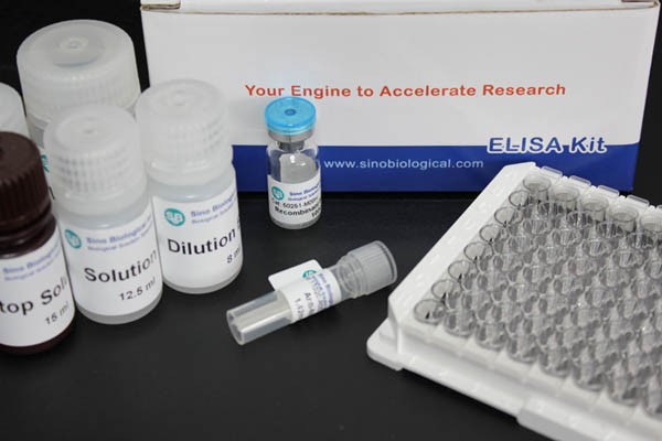 s-b-elisa-kit.jpg