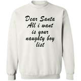 Dear Santa All I Want Is Your Naughty Boy List Ugly Christmas Sweater