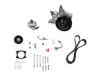 Holley Gen V LT Power Steering Add-On System Wet Sump 20-222