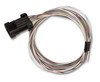 Holley Terminator X Max GM LS ECU - 24x / EV1 (550-916T)