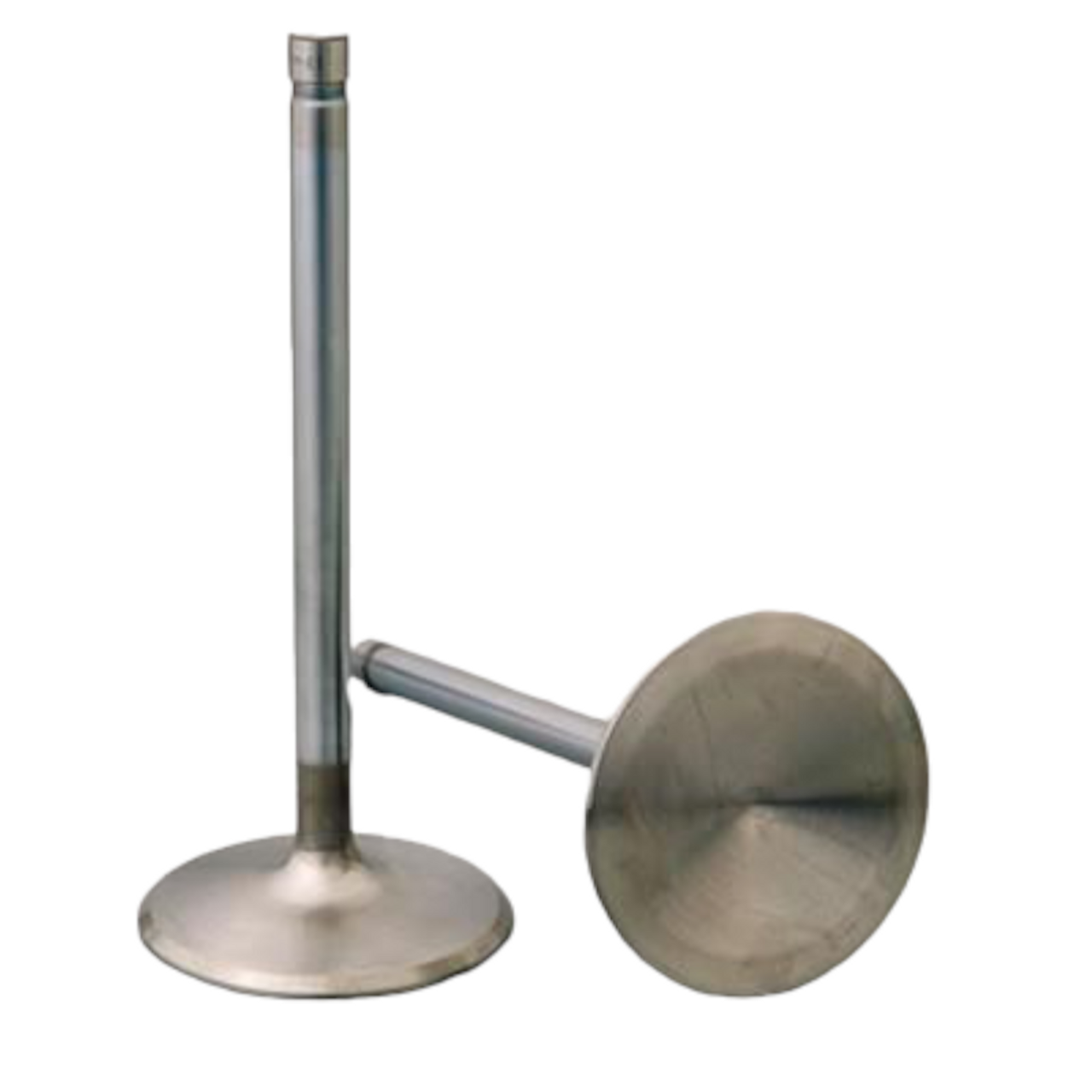 Shop High Quality Wiseco Steel Intake Valve Single Valves - Wiseco