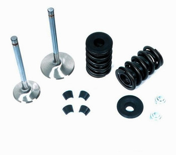 Dart LS Pro 1 280cc Head Parts Kit 28812200