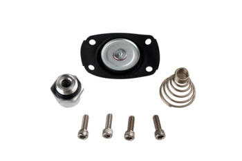 Aeromotive Carbureted Regulator Service Kit 13005