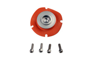 Aeromotive EFI/CARB Regulator Service Kit 13004