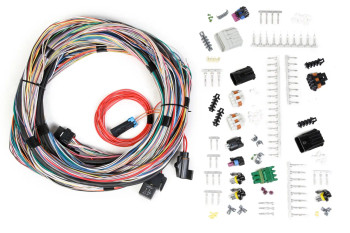 Holley EFI LS Unterminated Universal Engine Main Harness for HP EFI/Dominator EFI 558-105