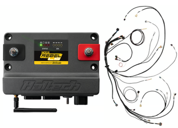 Haltech Nexus Rebel LS Gen III ECU Harness Kit HT-220201 (HT-220201)