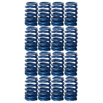 Chevrolet Performance LS6 Valve Springs 12499224 - .550 Max Lift Chevrolet Performance LS6 Valve Springs 12499224 - .550 Max Lift