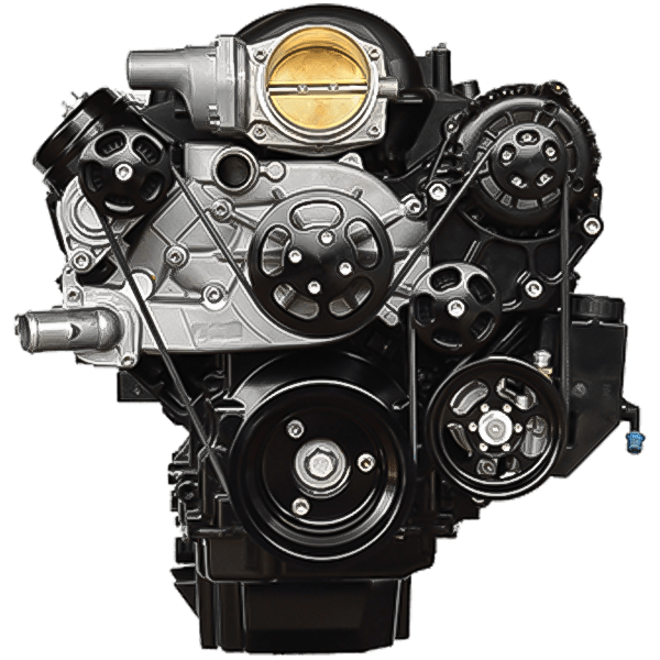 Wegner GM LS N/A Accessory Drive Kit WAK034-NOPS - ALT / WP