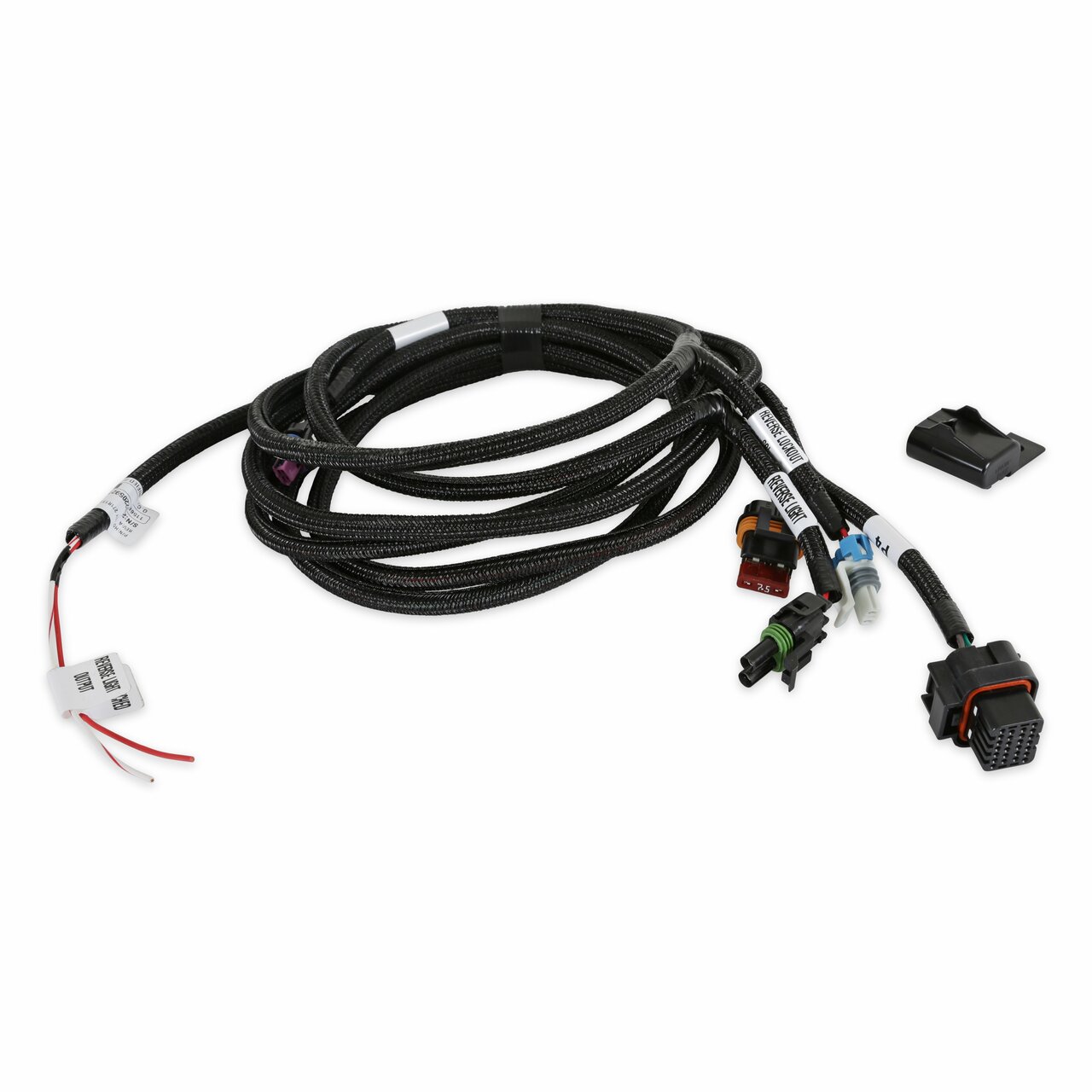 Holley EFI GM F-Body T-56 Transmission Harness for Terminator X