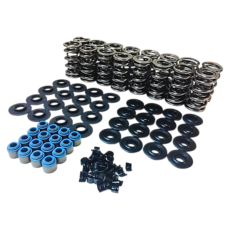 XceleRate Series Dual LS Valve Spring Kit 80540K1