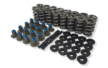 アクセサリー LS LSXceleration LS Dual Valve Spring Kit 80540K3 - 0.660