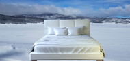 How to get your bed ready for winter!