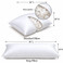 Our Down pillows are made in the USA. These are exceptionally priced. Get a new down pillow and get a better night's sleep. Our Standard Pillows are 20" W x 26" L. Our King pillows are 20" W x 36" L.