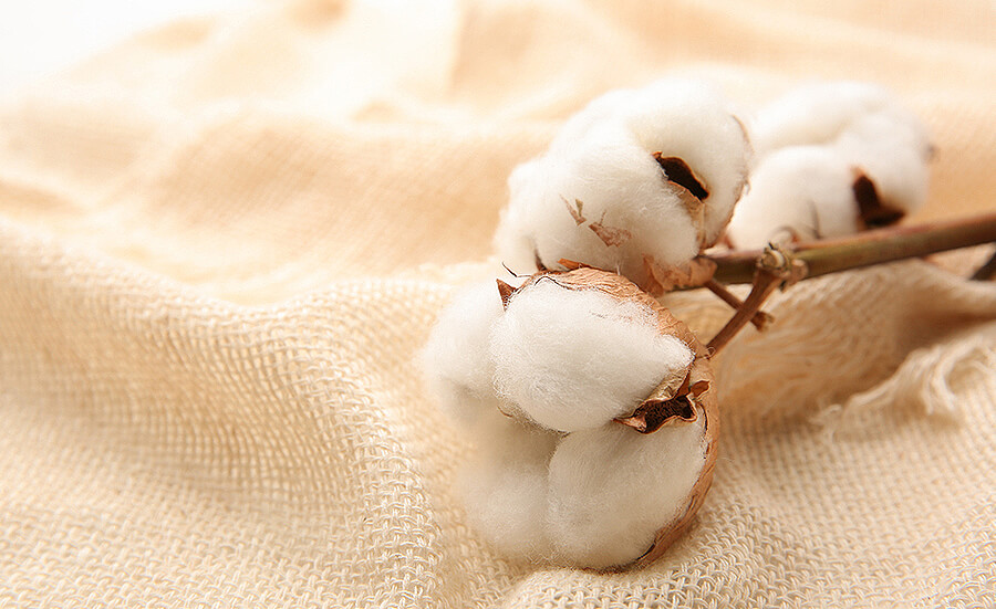 Is Mercerised Cotton Environmentally Friendly - Printable