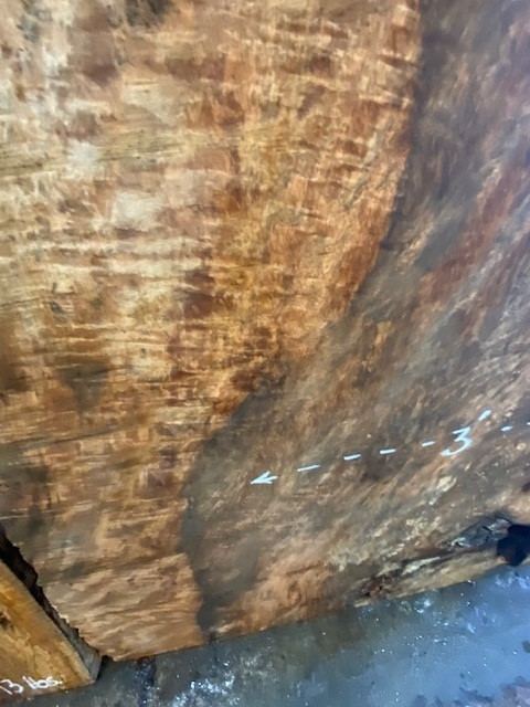 Mango Slab MGO22 Global Wood Source