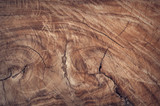 Exotic Wood Designs for Your Home