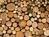 What Type Of Exotic Wood Is Often In Stock And Versatile 