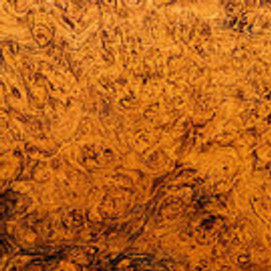 Amboyna Burl