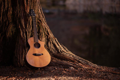 How to Use Exotic Wood for Instrument Building