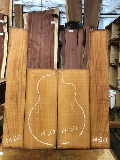 Honduras mahogany acoustic set. M-20