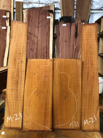 Honduras mahogany acoustic set. M-21