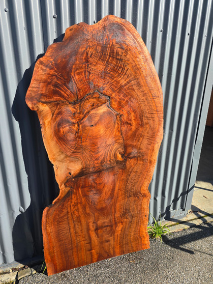 Claro Walnut Slab PNH-3921 1.8×30×62