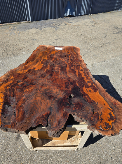 Walnut Burl Slab WBS-6241