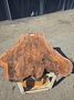 Walnut Burl Slab WBS-6241