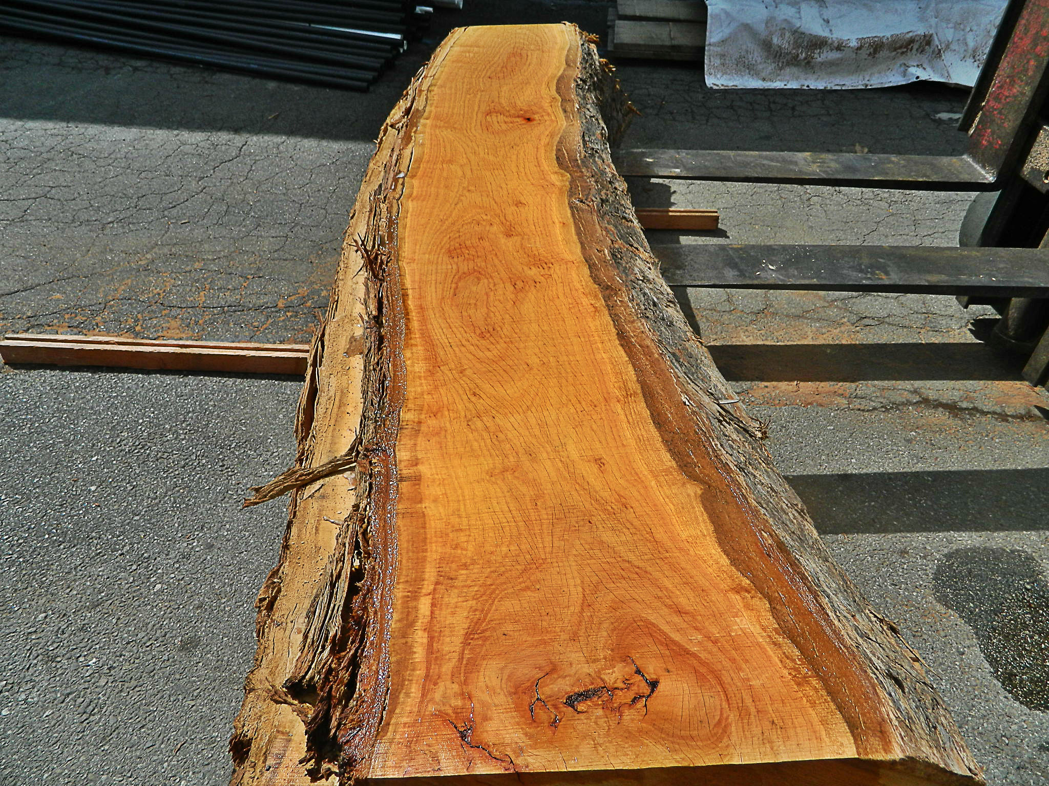 Redwood Short Slabs (Qty 6) RBs-50 - Global Wood Source