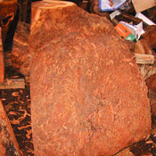 2-redwoodburl2-thumb.jpg