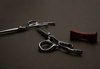 silver colored right handed hair scissor with black "N" logo and the word "judan' inscribed in black on the blade on a brown background showing the handles curved thumb ring.