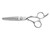 silver colored right handed hair scissor with black "N" logo and 22 teeth on one blade