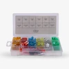 Auto Fuse Assortment (250-Piece)