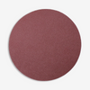 9" 60 Grit PSA Sanding Disc