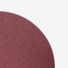 12" 60 Grit PSA Sanding Disc