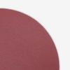 12" 120 Grit PSA Sanding Disc