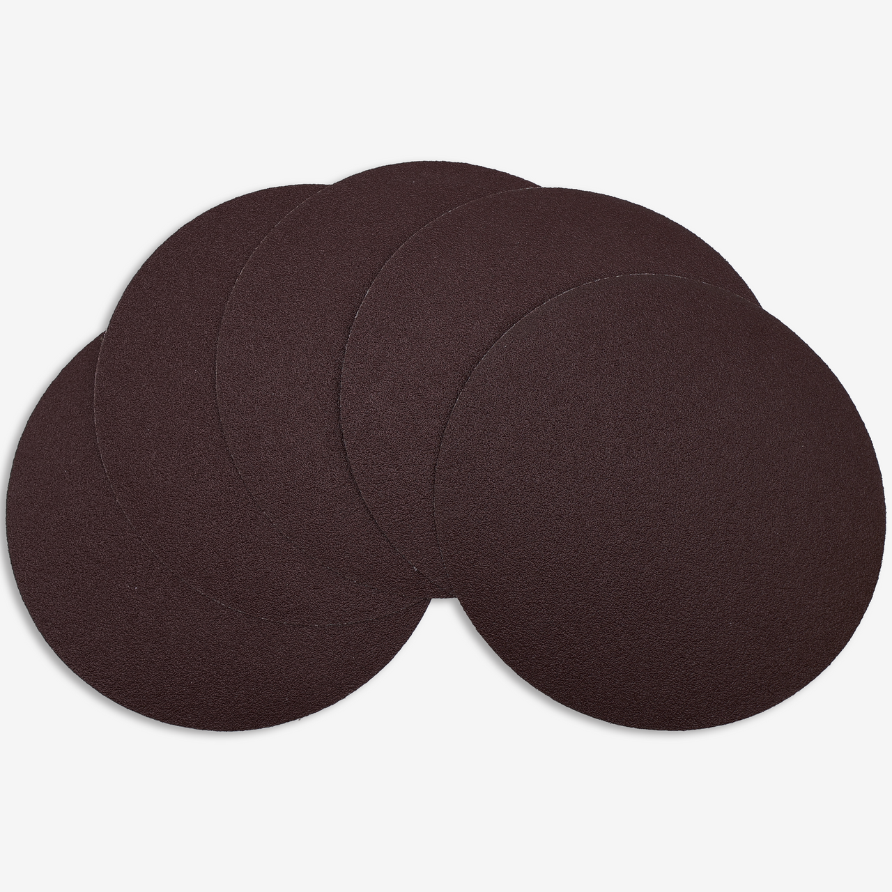 12" Psa Sanding Disc (5-Piece)