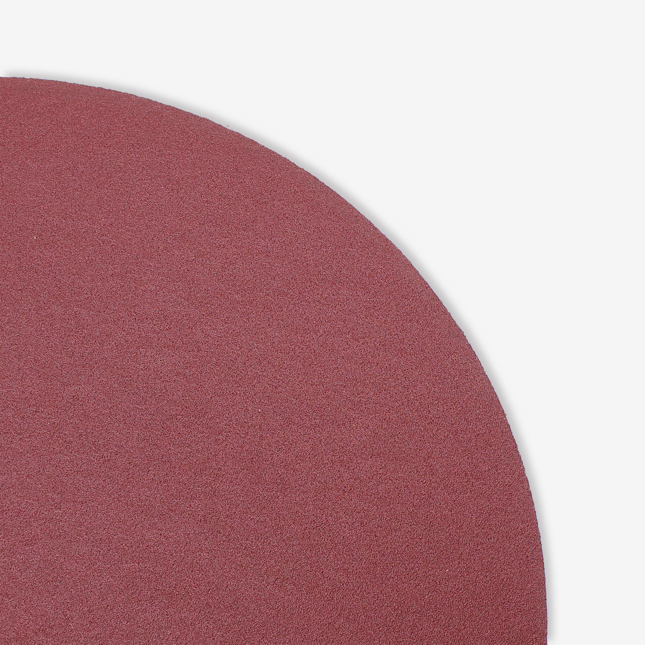 12" 120 Grit PSA Sanding Disc