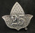 AKA Silver Star Ivy Lapel Pin