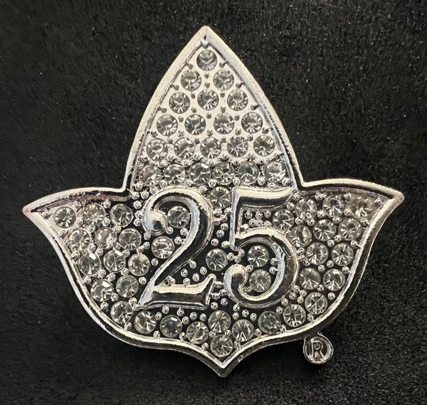 AKA Silver Star Ivy Lapel Pin