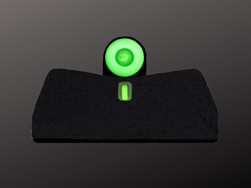 Ruger RXM sight picture  in low light