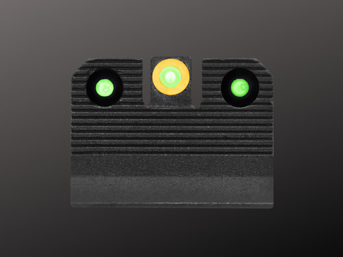 R3D 2.0 Sig Sauer orange low light sight picture R3D 2.0 Sig Sauer orange low light sight picture