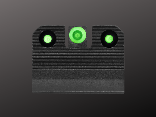 R3D 2.0 Suppressor height Sig P226 sights green