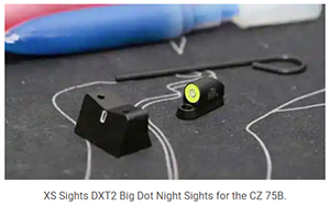 CZ 75 Sights
